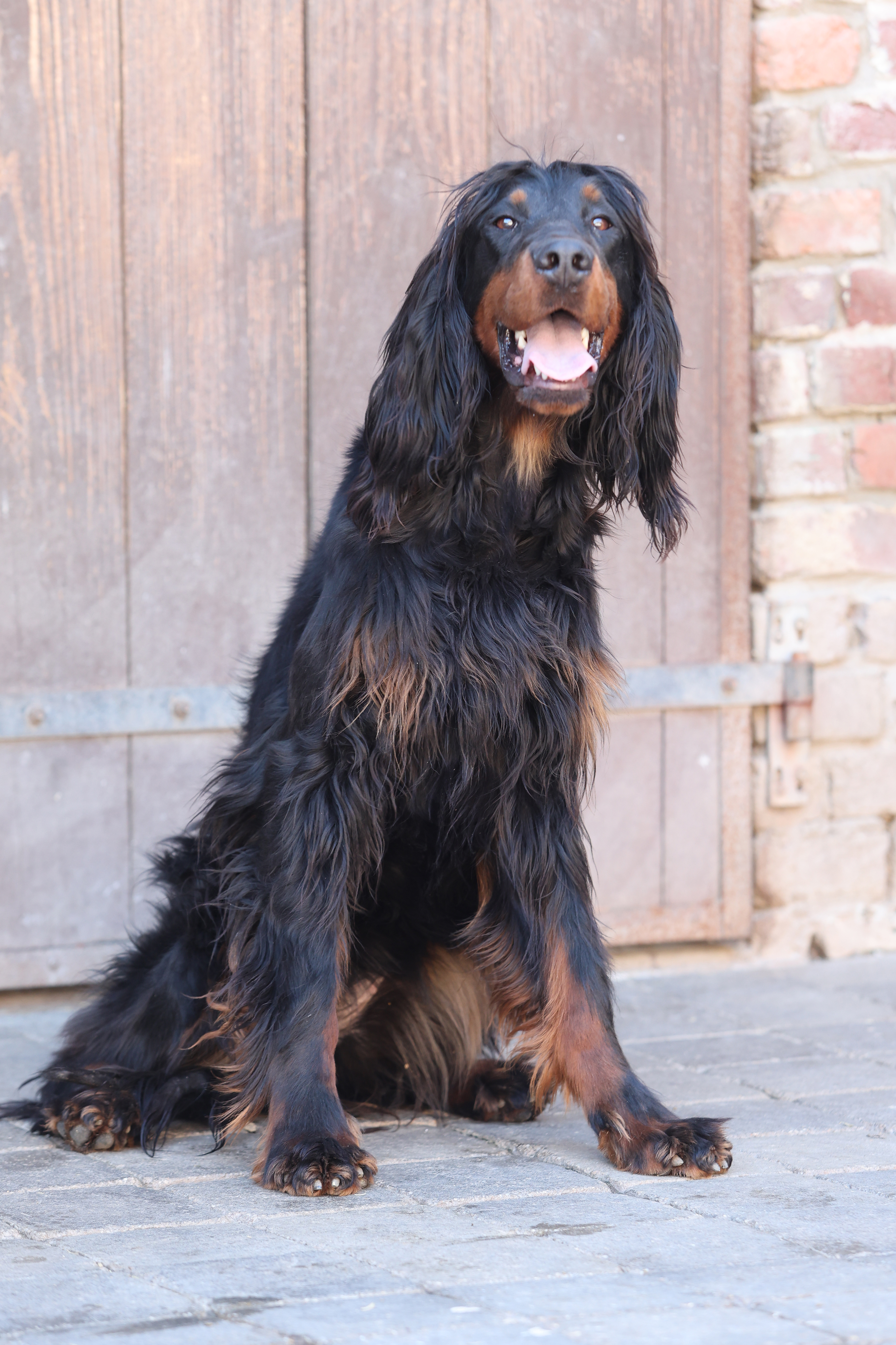 upsa setter