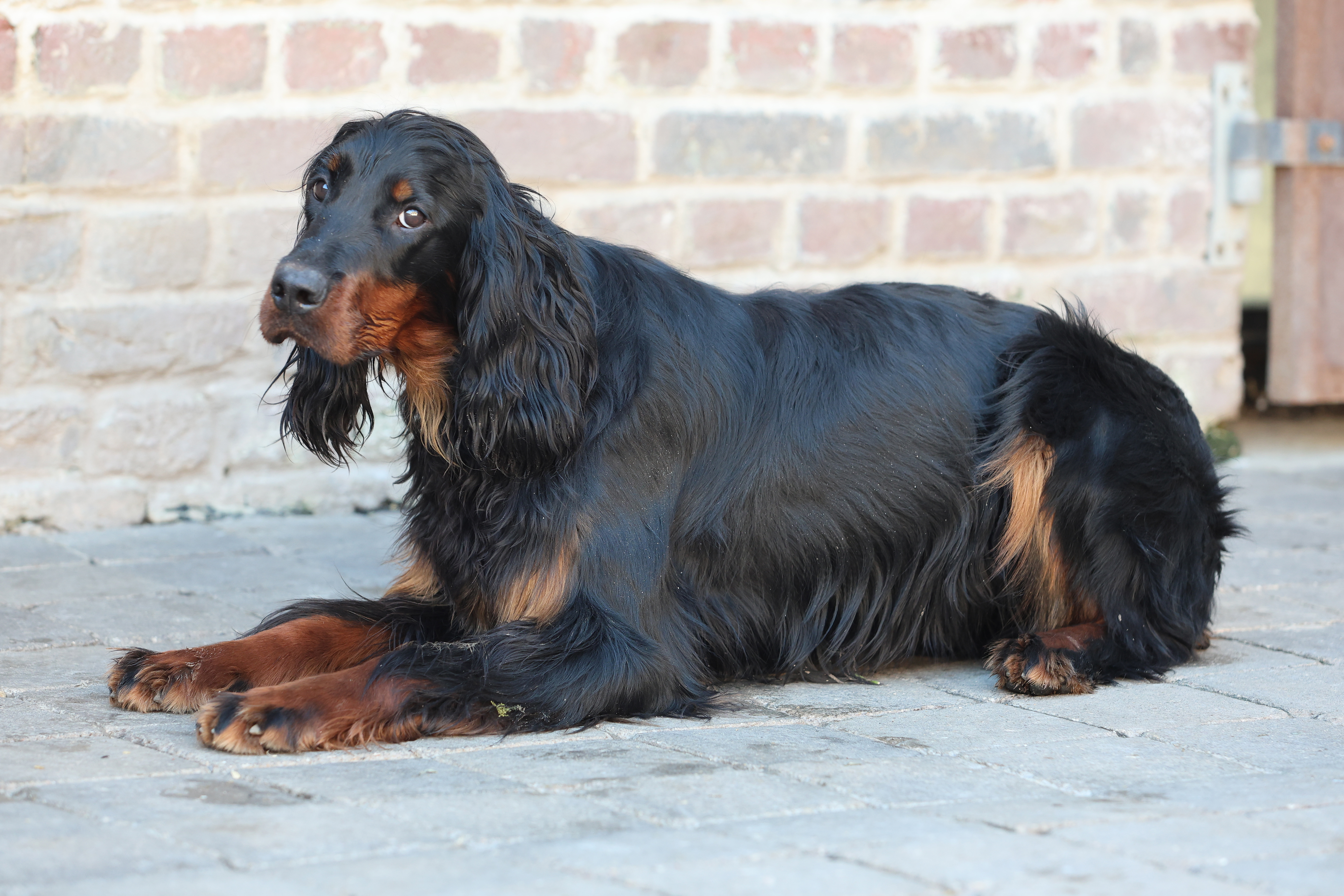 urbi setter