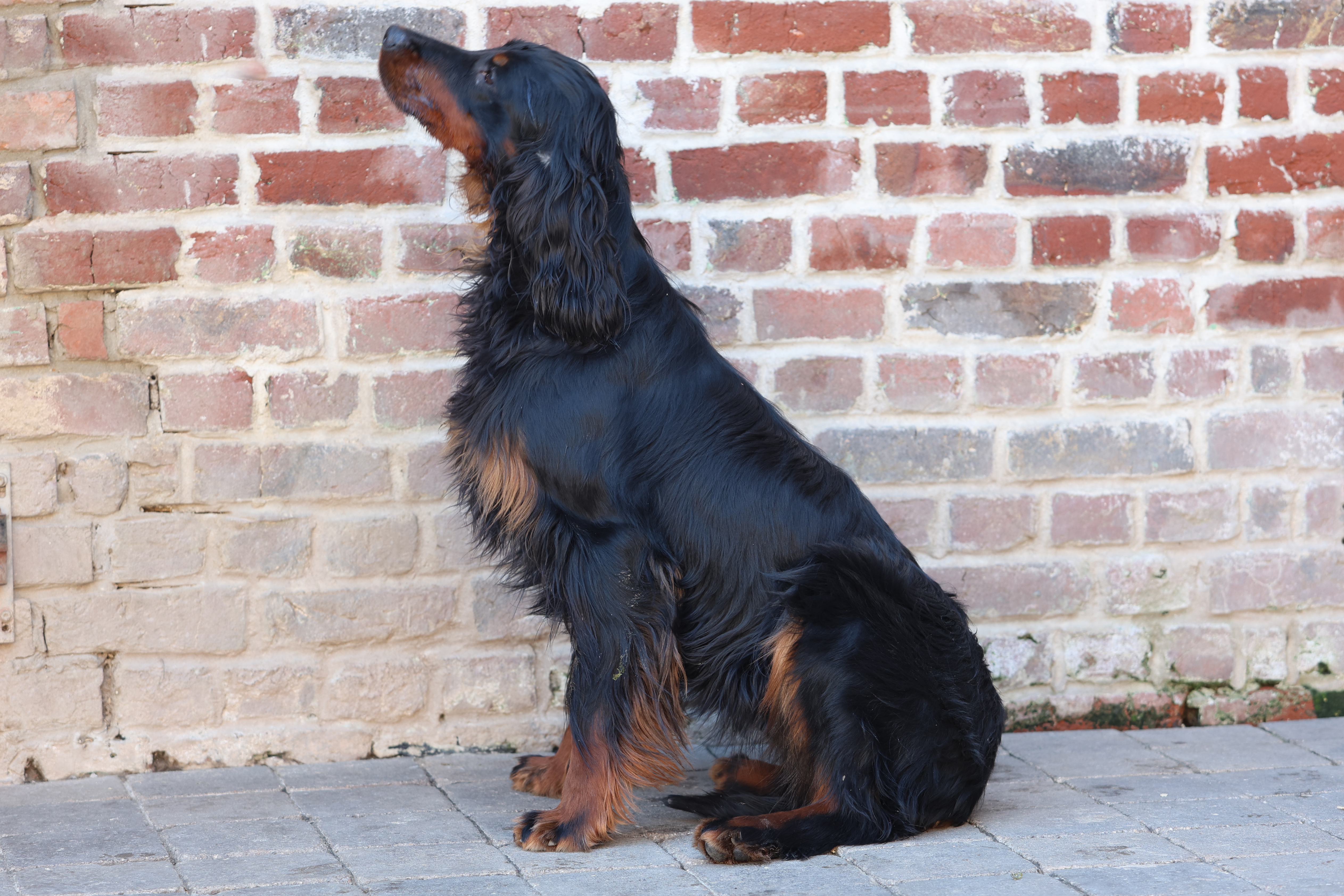 urbi setter