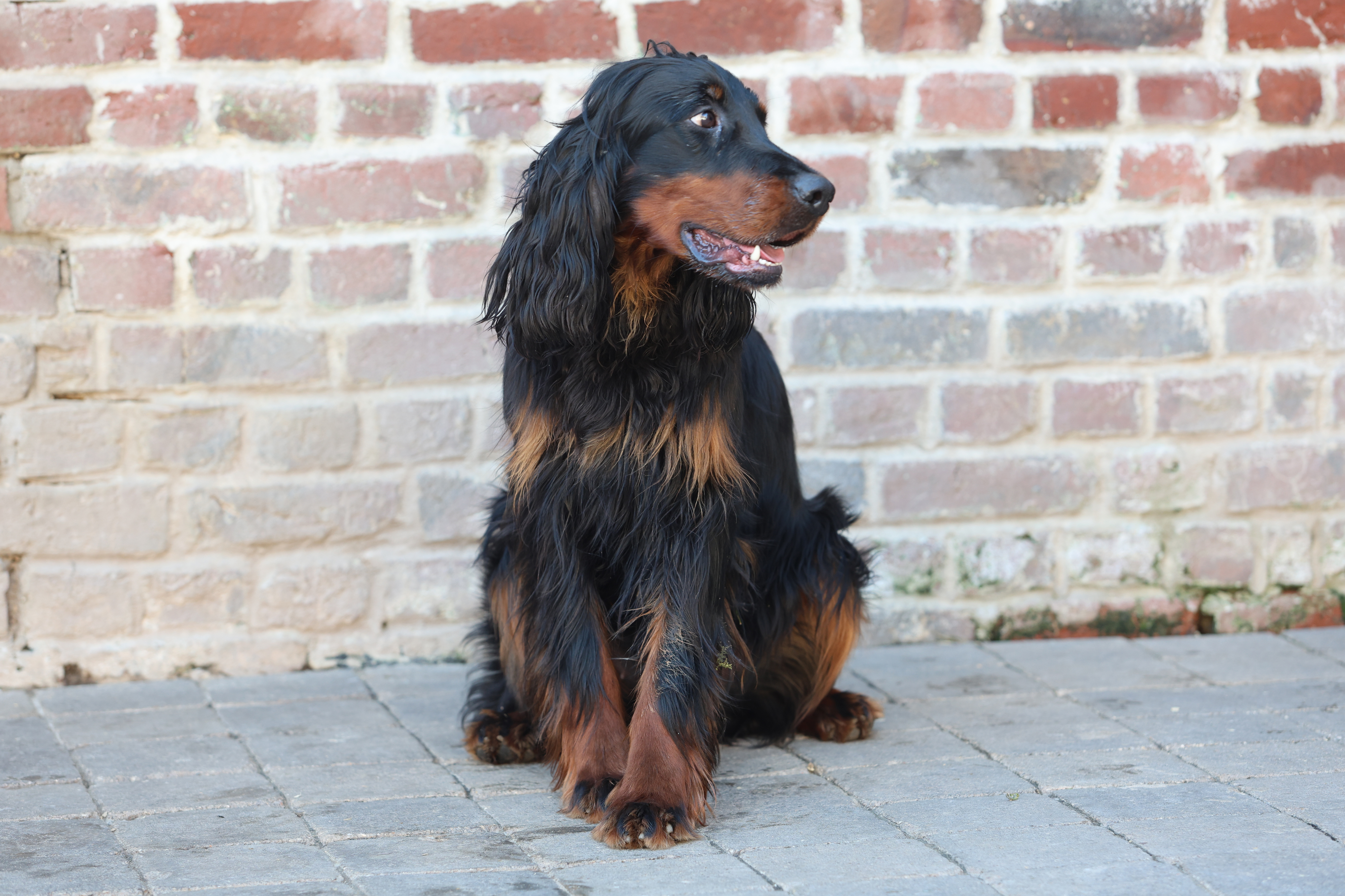 urbi setter